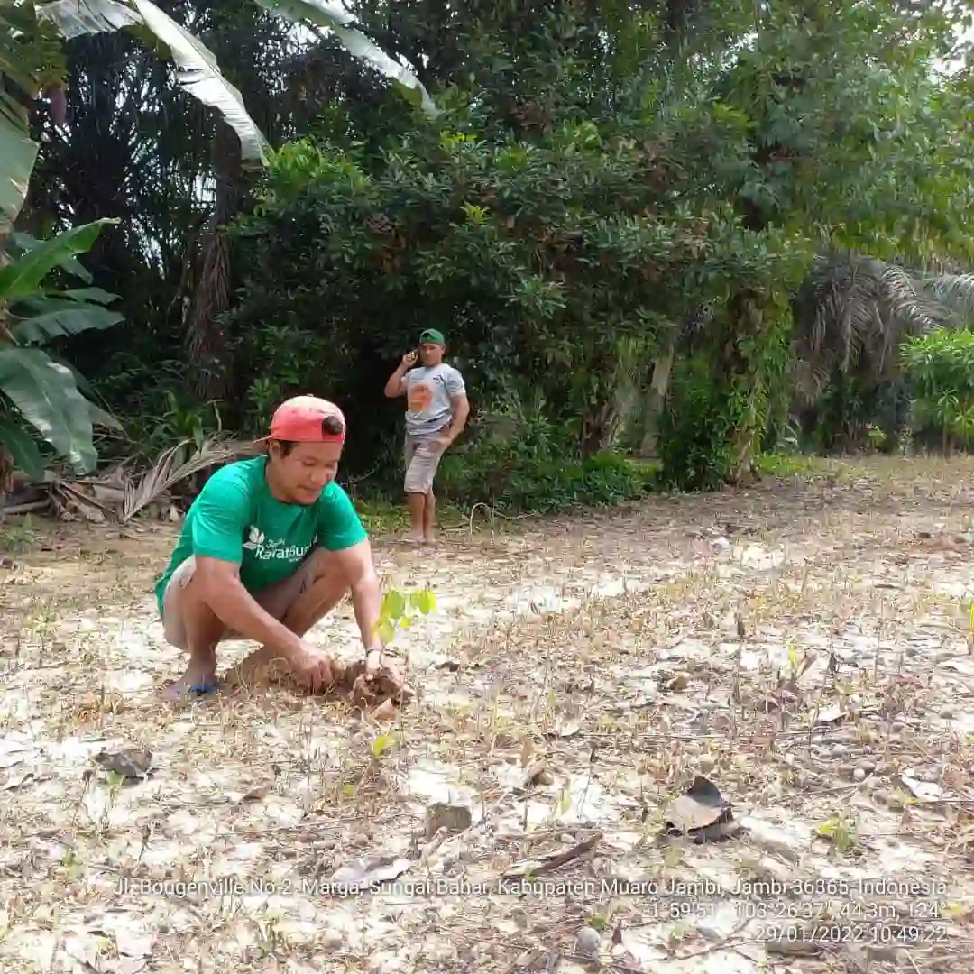 Sedekah Pohon LindungiHutan